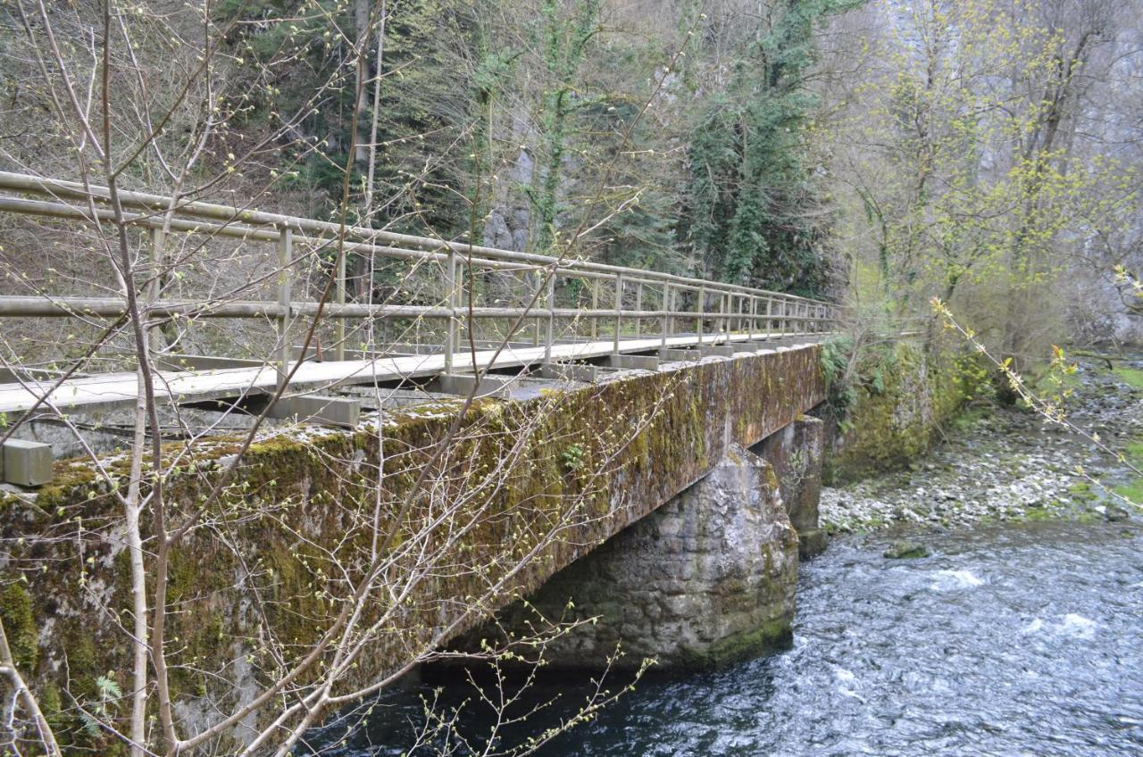 Apartma Nika Planina  Buitenkant foto