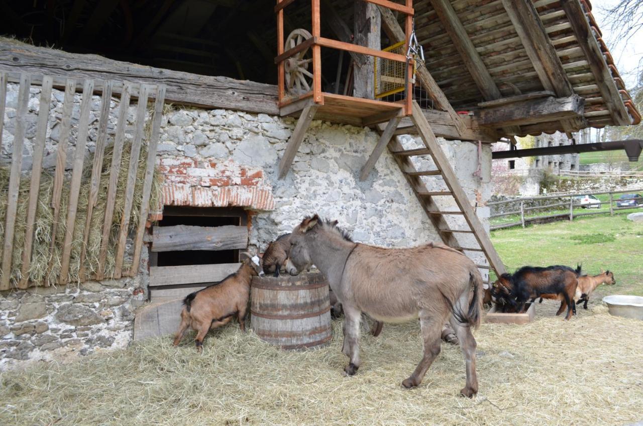 Apartma Nika Planina  Buitenkant foto