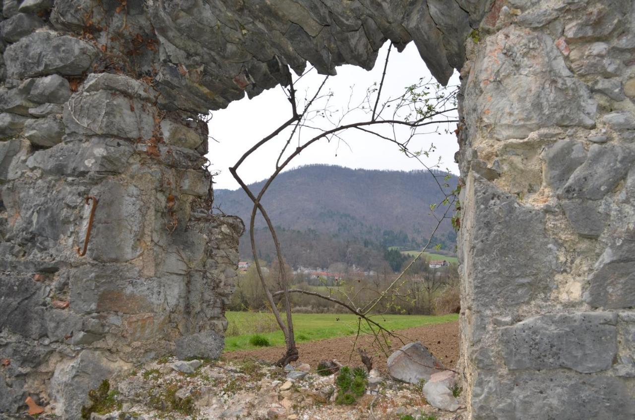 Apartma Nika Planina  Buitenkant foto