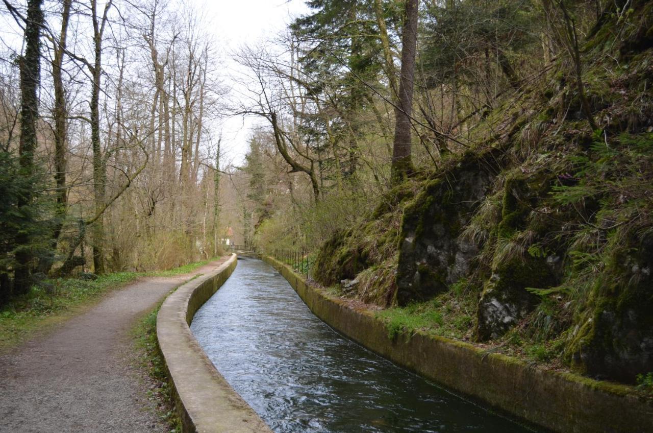 Apartma Nika Planina  Buitenkant foto