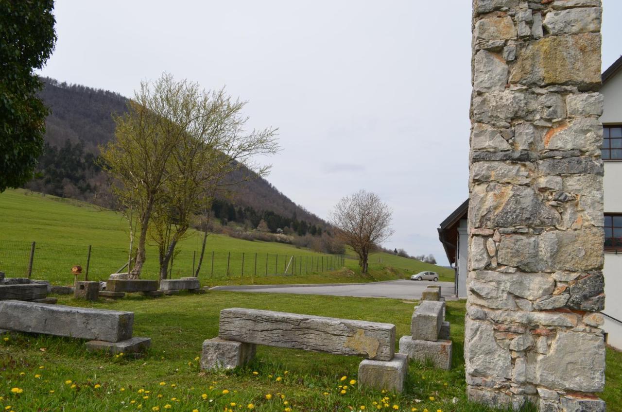 Apartma Nika Planina  Buitenkant foto