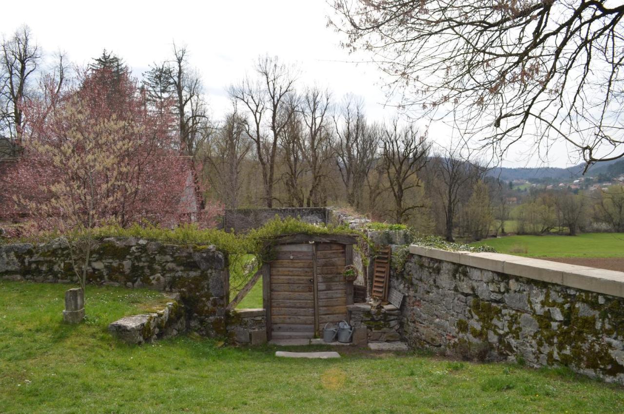 Apartma Nika Planina  Buitenkant foto